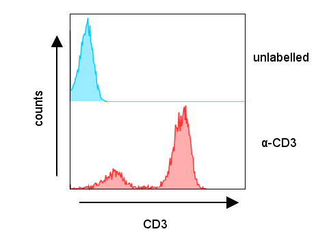 shue様　0621-01 FITC anti-human CD3 Antibody anti-CD3 - UCHT1